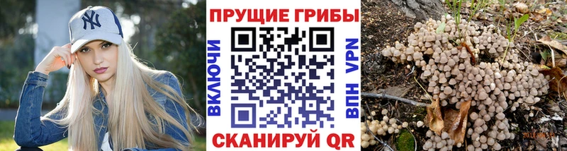 Галлюциногенные грибы Cubensis  купить закладку  Брянск 